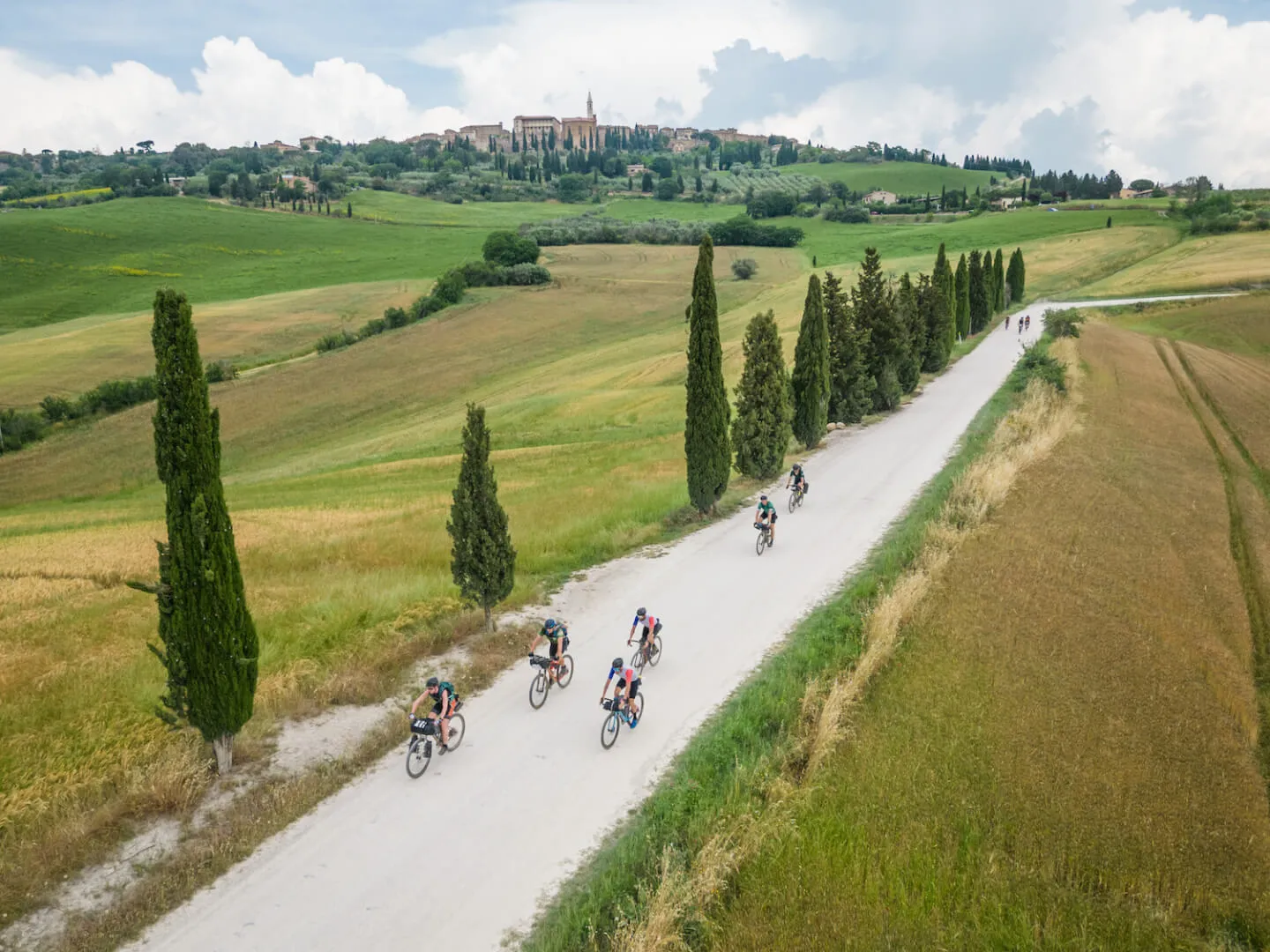 A white road lined with cypresses, seen from above