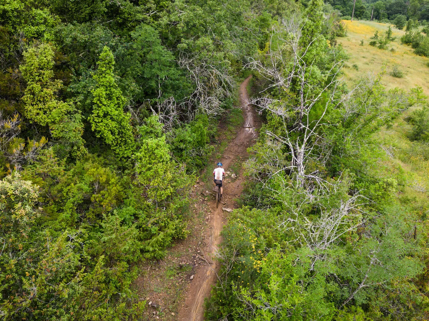 Tuscany Trail 2023, photo 17 of 30