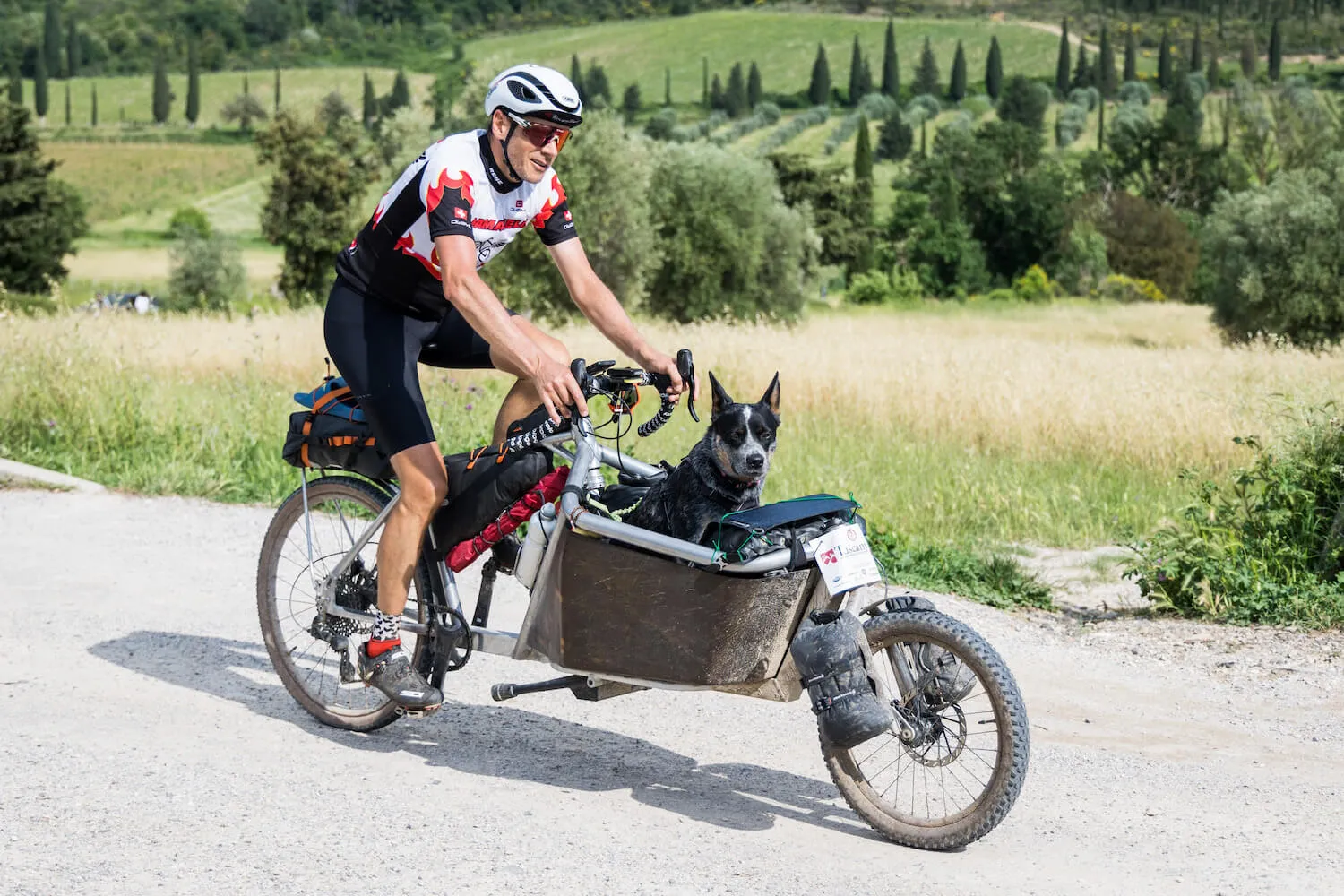 A rider with a dog in a cargo bike