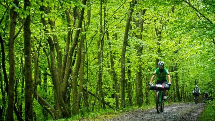 Tuscany Trail 2014, photo 7 of 20