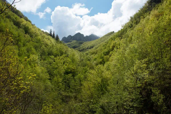 Tuscany Trail 2014, photo 9 of 20
