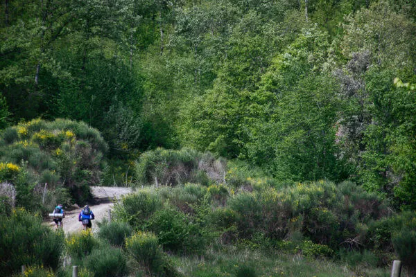 Tuscany Trail 2014, photo 11 of 20