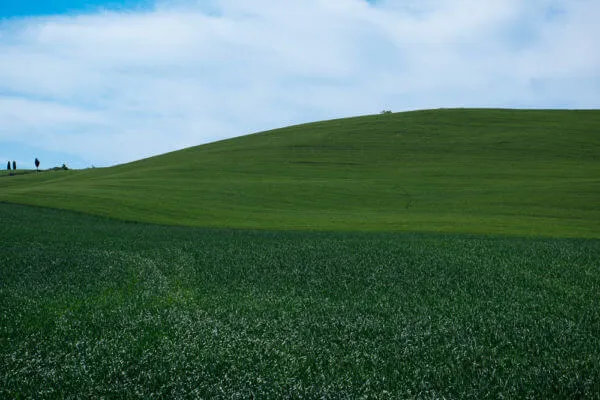 Tuscany Trail 2014, photo 15 of 20