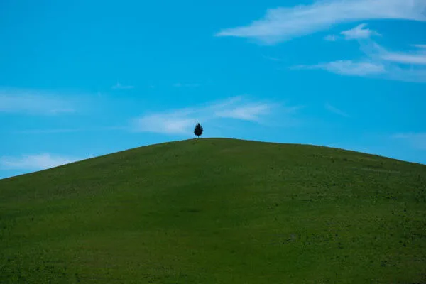 Tuscany Trail 2014, photo 16 of 20