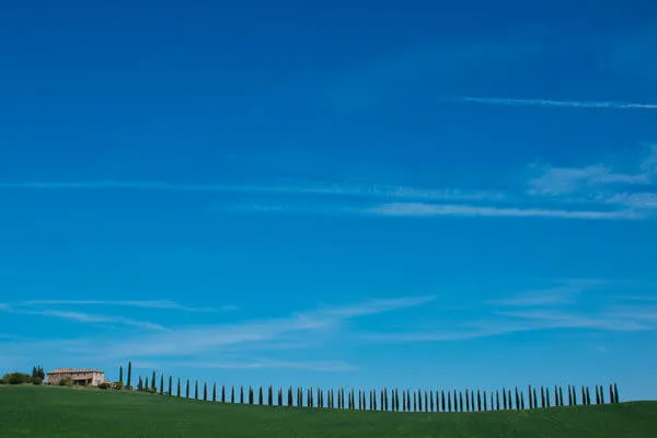 Tuscany Trail 2014, photo 17 of 20