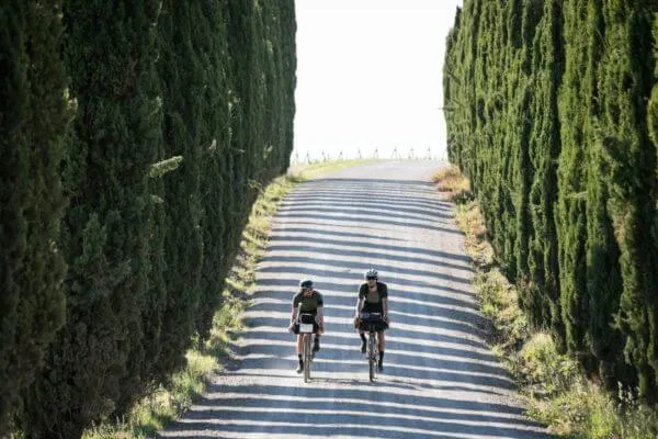 Two riders on a cypress avenue