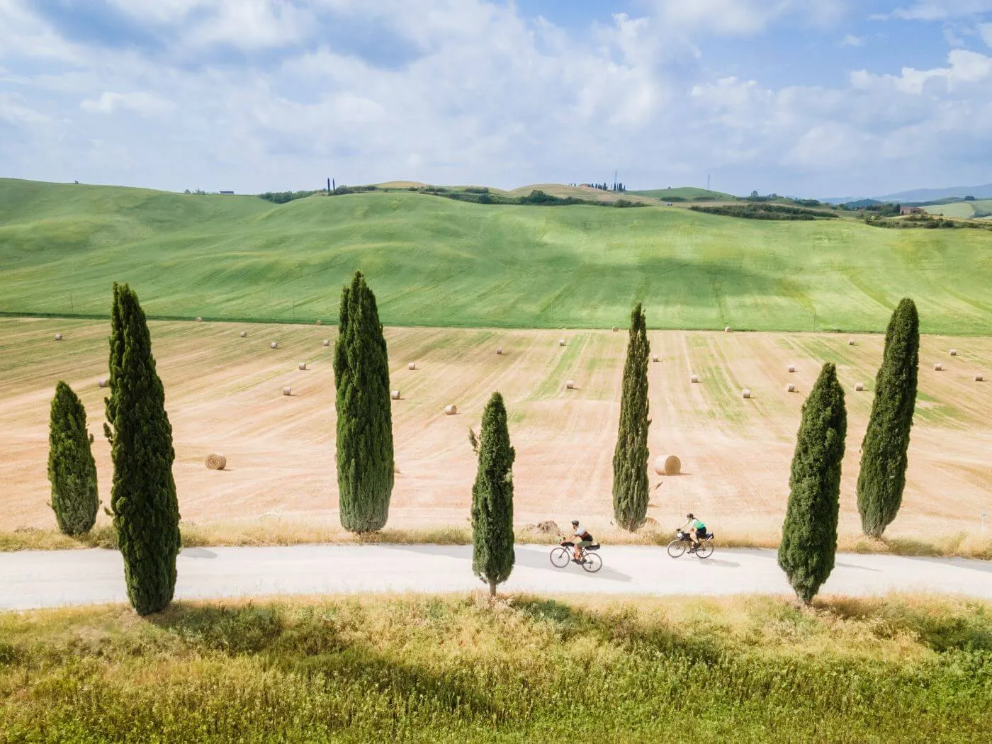 Riders along a row of cypresses