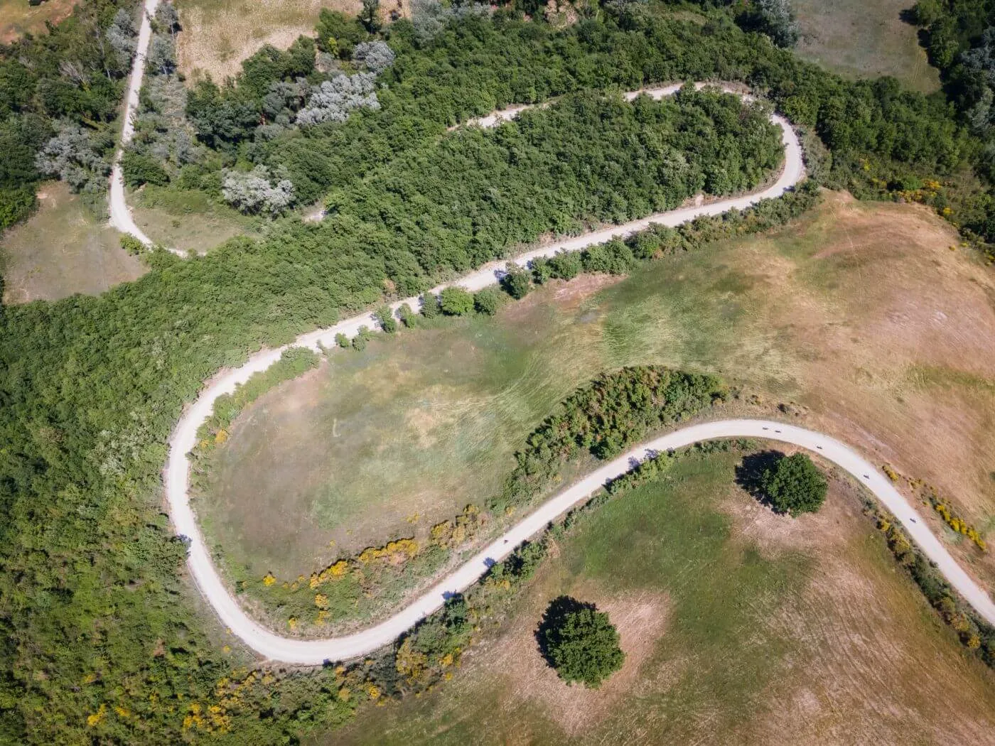 A winding white road through the fields, seen from above