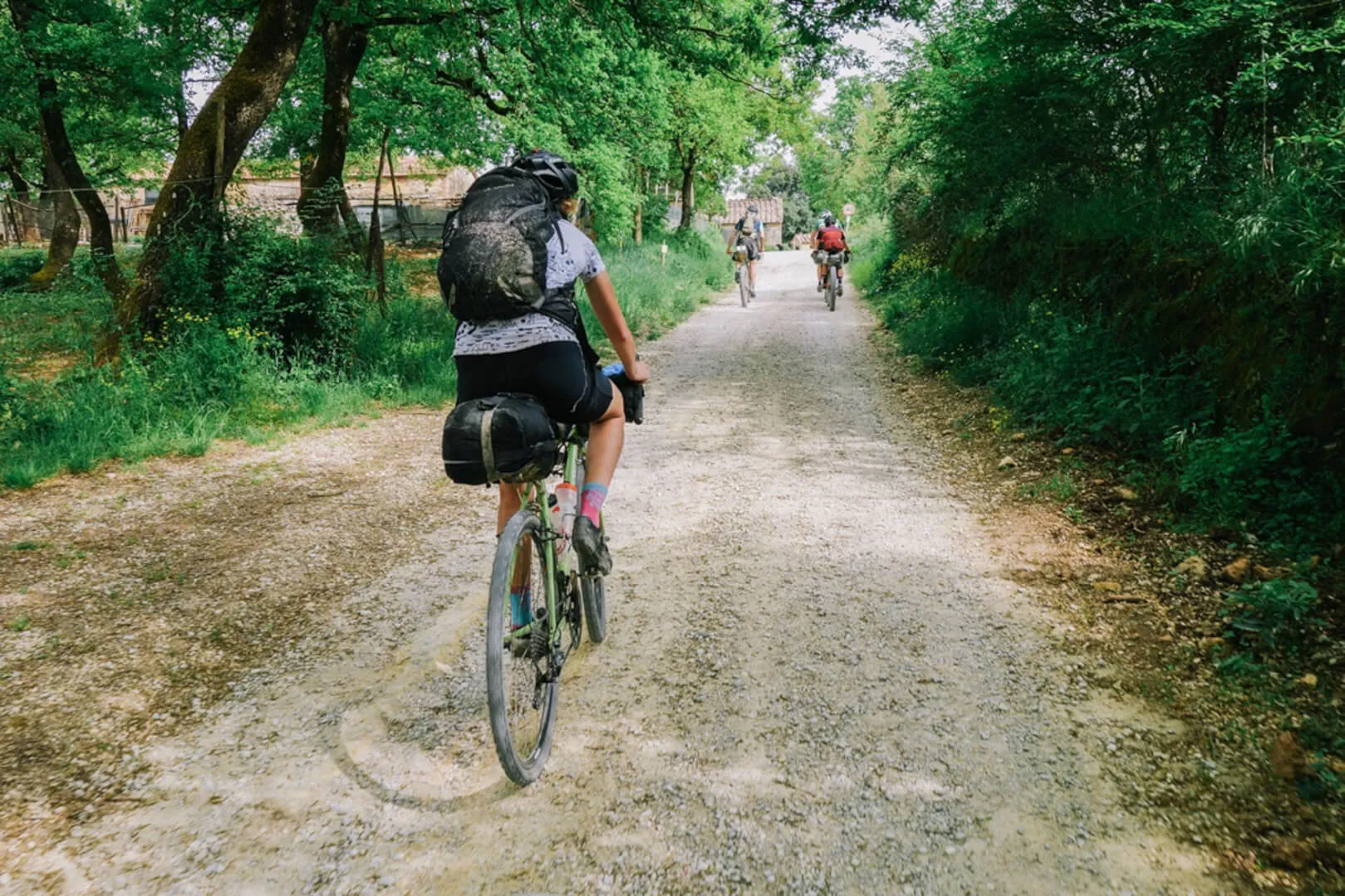 A rider seen from behind on a tree-lined gravel road
