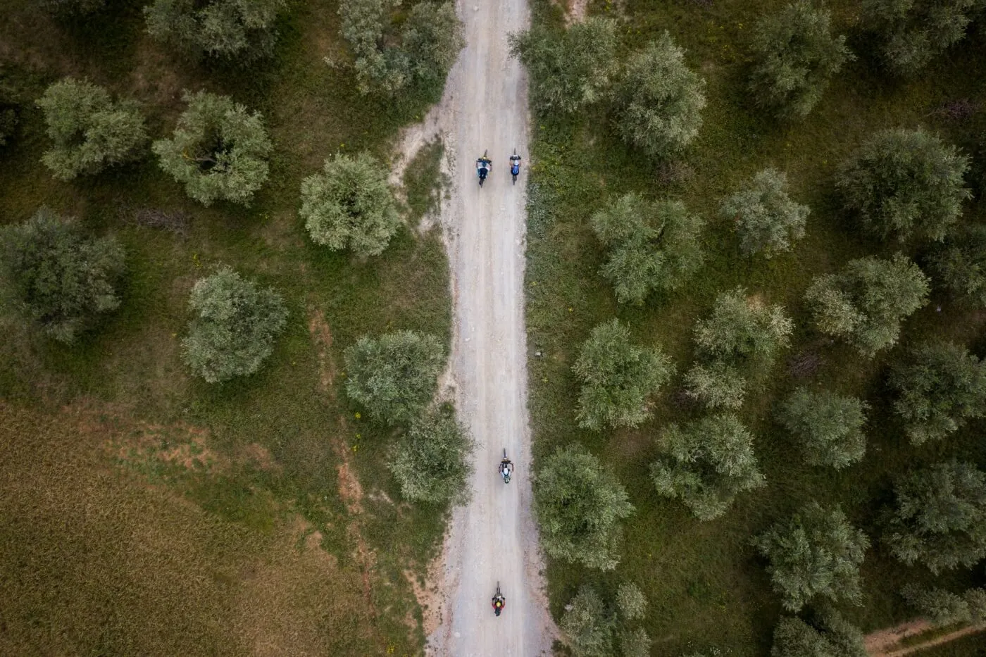 Tuscany Trail 2018, photo 9 of 28