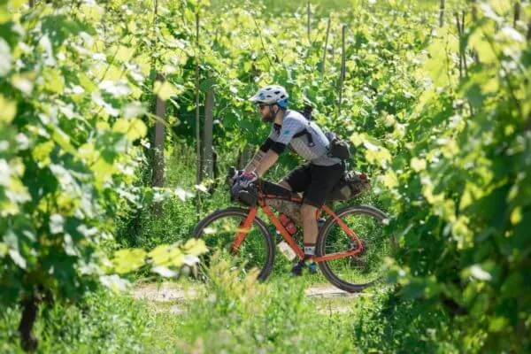 Tuscany Trail 2018, photo 15 of 28