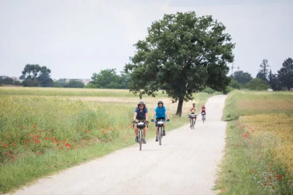 Tuscany Trail 2018, photo 18 of 28