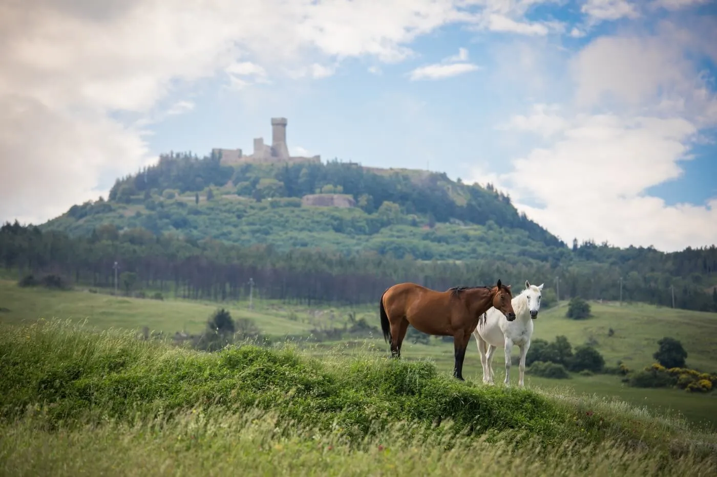 Tuscany Trail 2018, photo 24 of 28
