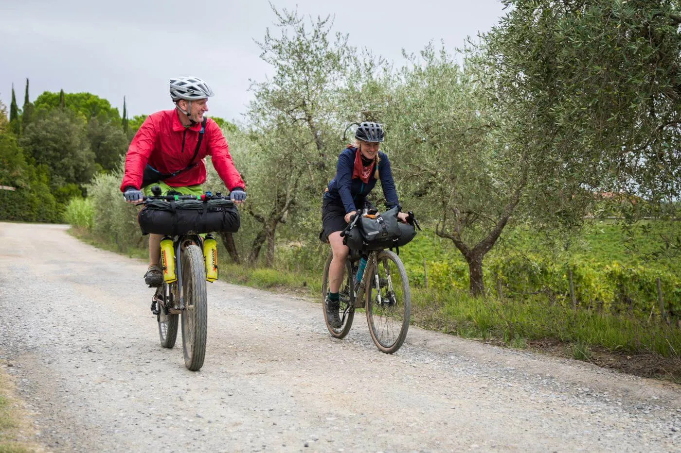 Riders on a gravel road among olive trees