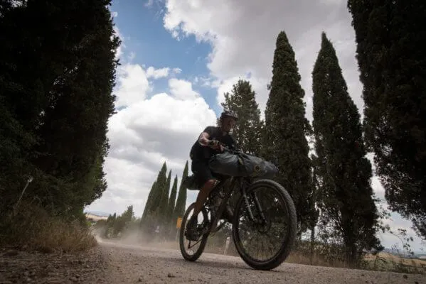 A rider backlit among the cypresses