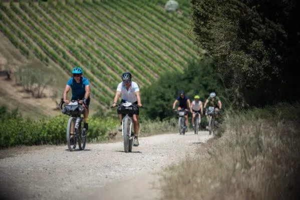 A group of riders on a gravel road between vineyards