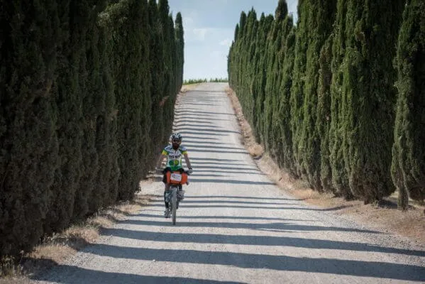 A rider on a cypress avenue