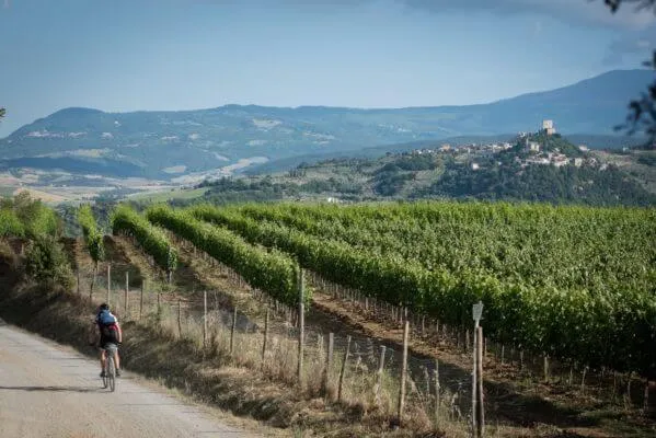 Tuscany Trail 2017, photo 11 of 13