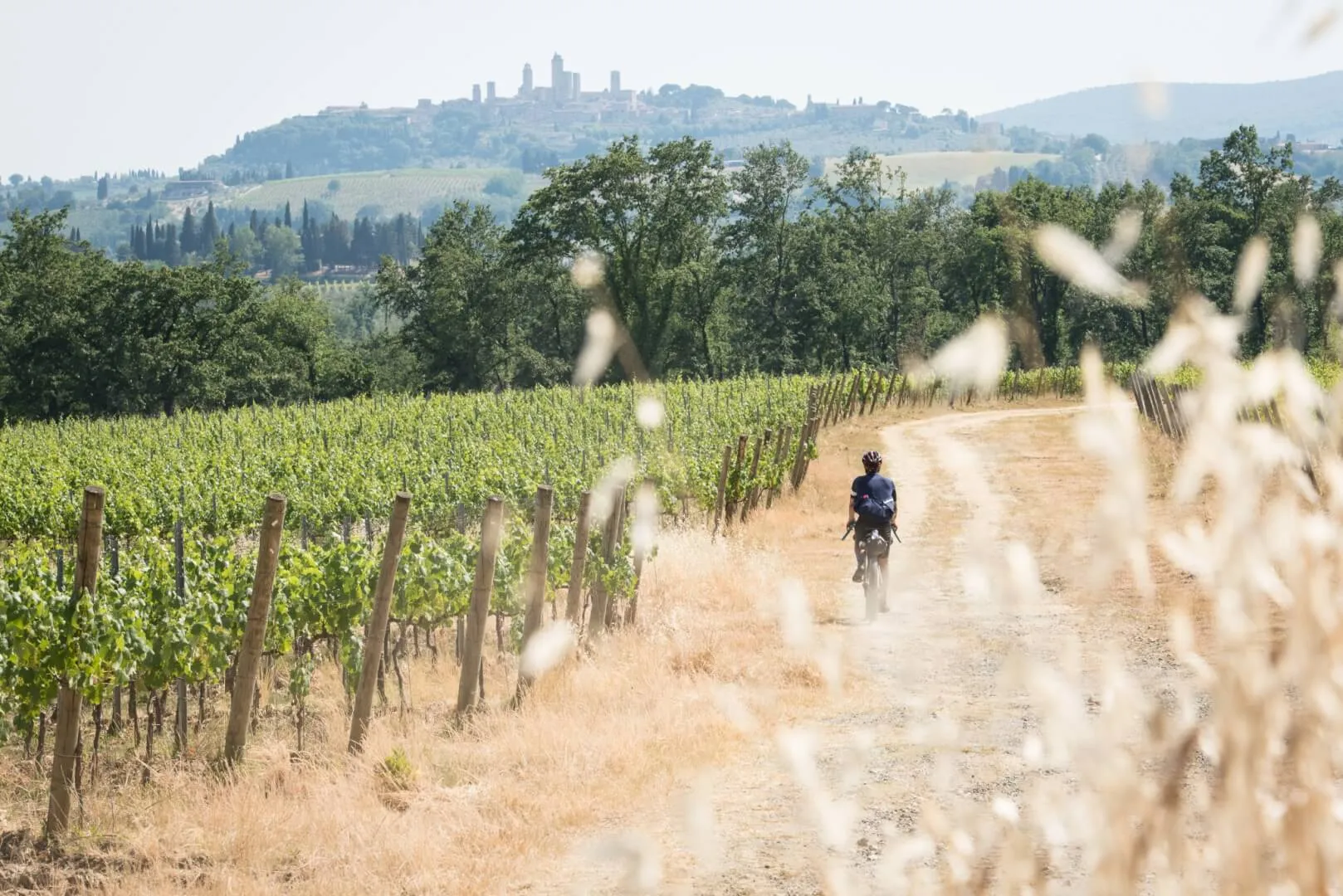 A rider in the vineyards, with towers in the background