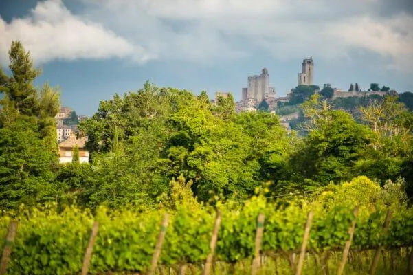 Tuscany Trail 2016, photo 26 of 33